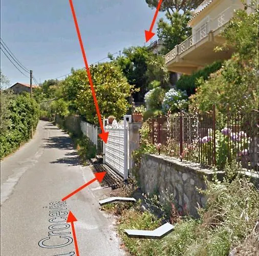 فيلة The Two Magnolias *